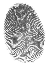 Self Storage Fingerprint