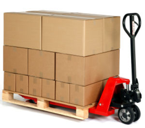 Self Storage Pallet Truck